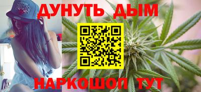 соль ск Новозыбков
