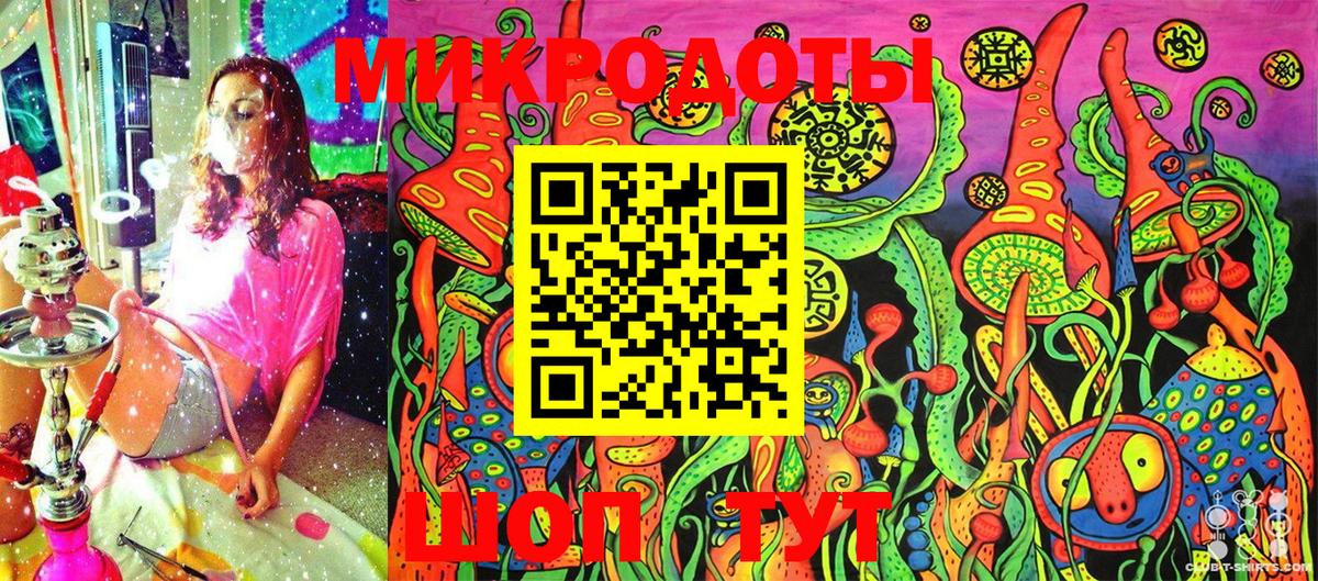 Галлюциногенные грибы Psilocybine cubensis Ступино